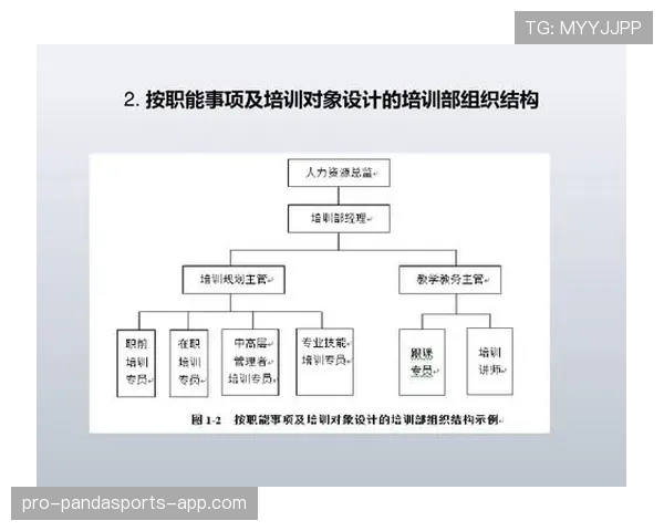 巴拉克与齐达内在组织推进下形成分散结构差异